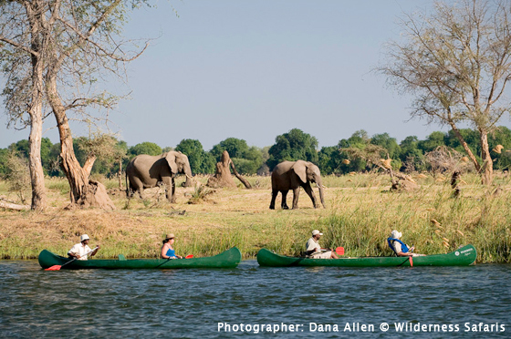 Zimbabwe Showcase - Wilderness Safaris Exploration - Africa Discovery Zimbabwe