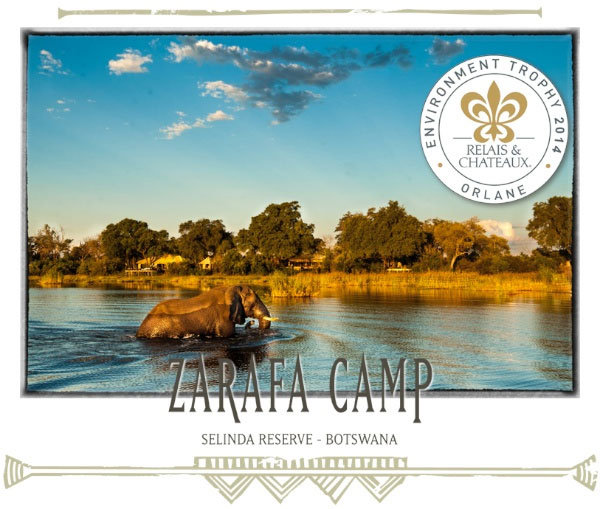 Zarafa Camp in Botswana - Africa Discovery