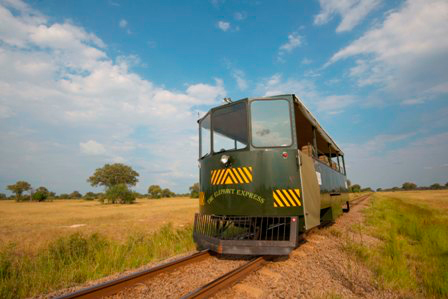 The Elephant Express Game Viewing And Transfers By Rail Car For Bomani And Camelthorn Guests
