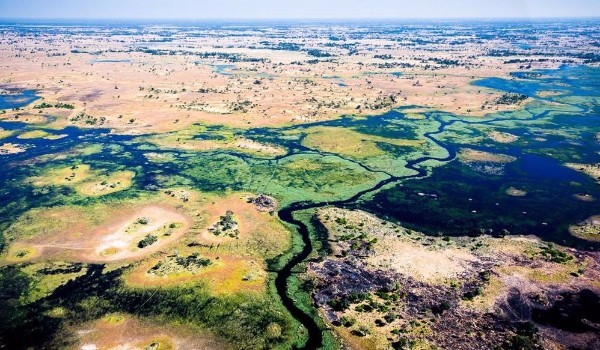 Okavango Delta, Botswana, Sanctuary Chief's Camp, Sanctuary Retreats  