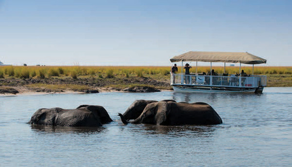 boat cruise on the Chobe River