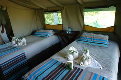 Saile Tented camp - Linyanti Reserve - Botswana Safari Tented Camp