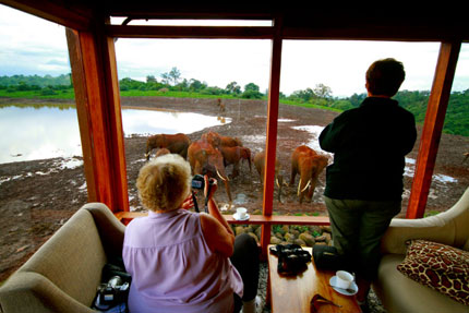 The Ark - Aberdare National Park - Kenya Safari Camp