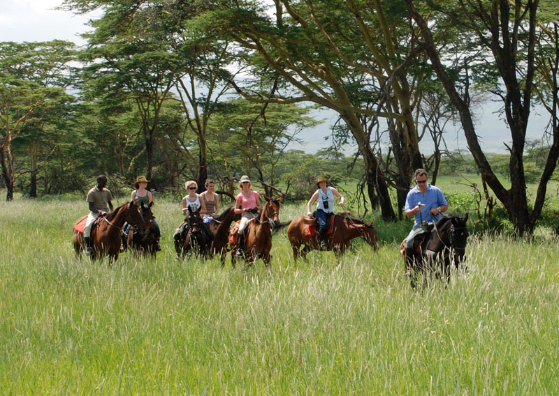 Borana Lodge - Laikipia - Kenya Safari Lodge, custom-made riding safaris