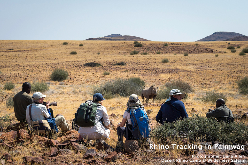 Rhino Tracking in Palmwag at Desert Rhino Camp