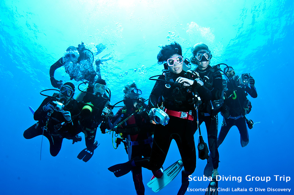 Scuba diving group trip - Dive Discovery