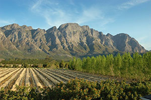 View from Franschhoek Country House - Cape Winelands