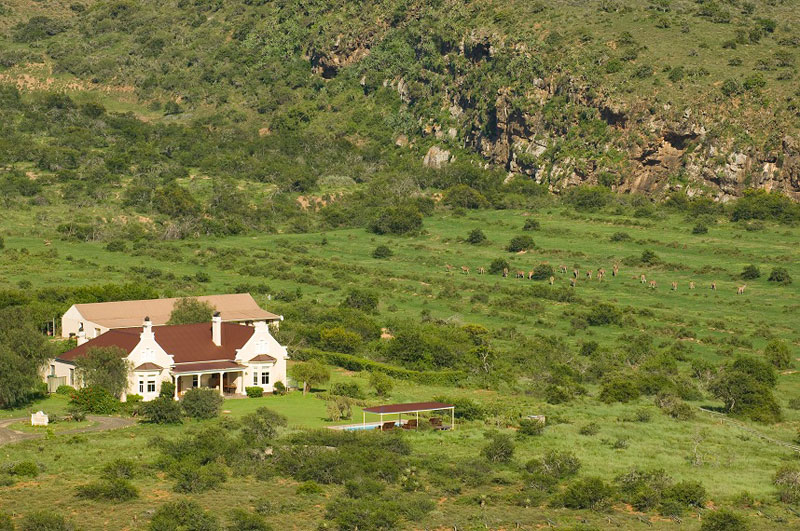 Kwandwe Uplands Homestead - Kwandwe Game Reserve - Eastern Cape - South Africa Safari Lodge