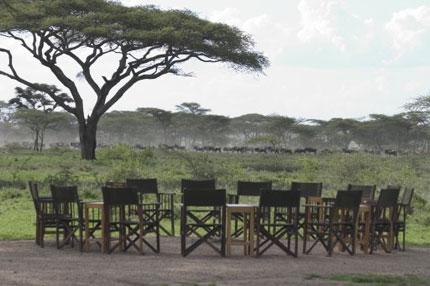 Ndutu Safari Lodge - Serengeti National Park - Tanzania Safari Lodge
