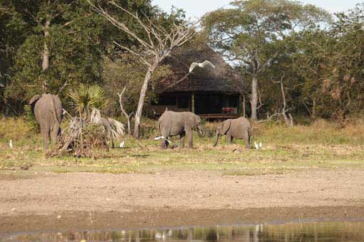The Selous Safari Camp - Selous Game Reserve - Tanzania Safari Camp