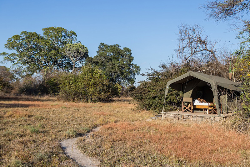 Tent - Ntemwa-Busanga Camp in Kafue National Park, Zambia