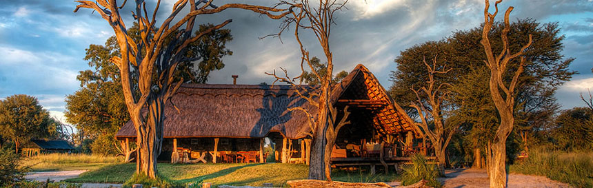 Jozibanini  Camp - Hwange  National Park - Zimbabwe Safari Camp