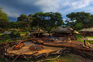 Somalisa Acacia in Hwange  National Park, Zimbabwe