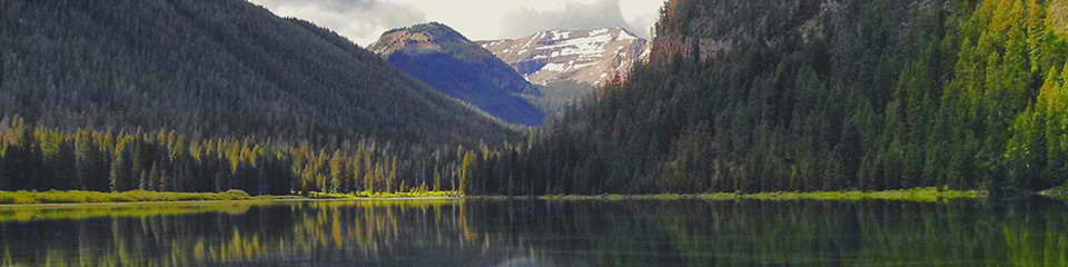 Bridger Teton
National Forest