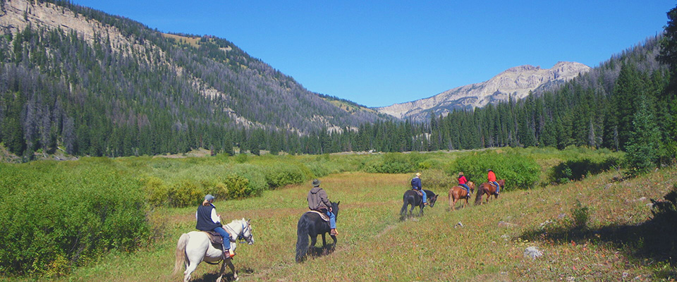 Horse riding at the Flat Creek Ranch