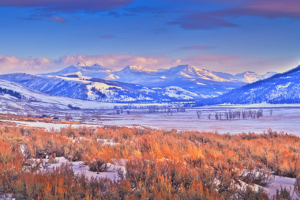 Yellowstone National Park