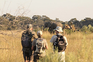 On Foot Through Botswana