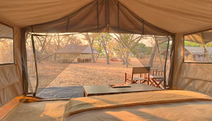 Chobe Under Canvas - Safari Camps in Chobe, Botswana