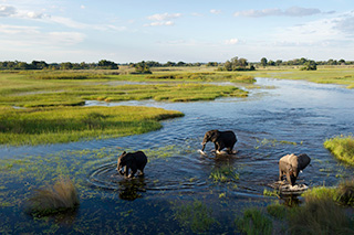 Great Wilderness Journey - Wilderness Safaris - Africa Discovery