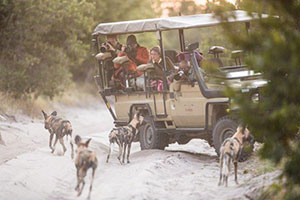 7 Night Khwai Community Area & Chobe National Park Mobile Safari