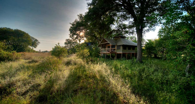 Little Kwara Camp - Okavango Delta - Botswana Safari Camp