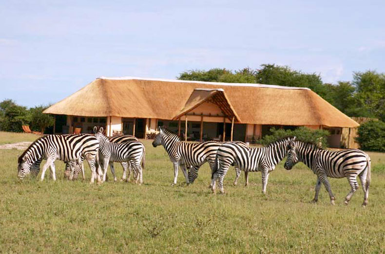 Nxai Pan Camp - Nxai Pan National Park - Botswana Safari Camp