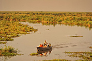 10 Days Okavango And Chobe Explorer - Africa Discovery