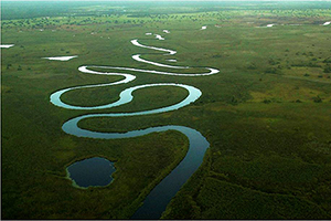 Okavango Wildlife Safari - Botswana Safaris & Tours - Africa Discovery