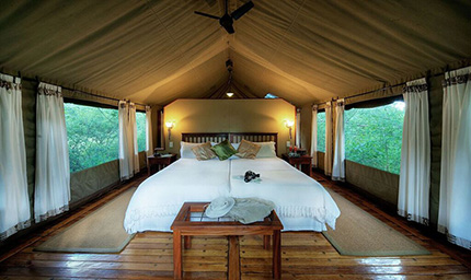 Luxury Tents - The Royal Tree Lodge