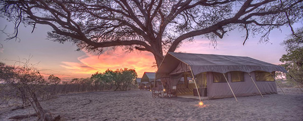 Tent - 8 Night Botswana Highlights Mobile Safari