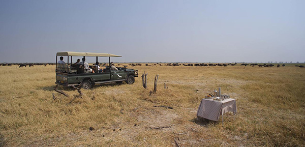 Game drive - 8 Night Botswana Highlights Mobile Safari