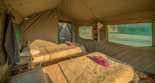 Tent - Mobile Safari: 9 Night Botswana Highlights