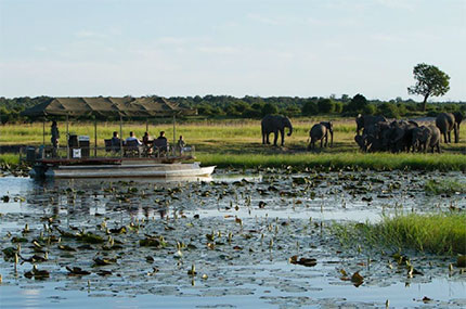 Chobe Game Lodge - Chobe National Park - Botswana Safari Lodge