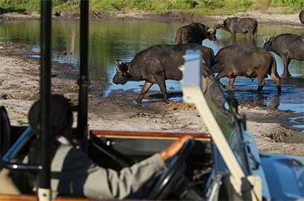 Chobe Game Lodge - Chobe National Park - Botswana Safari Lodge