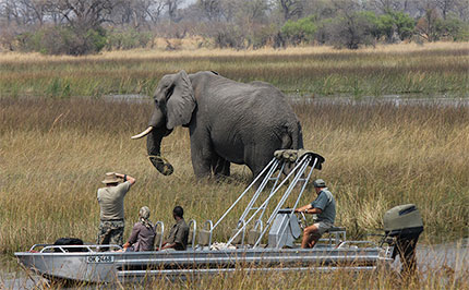 Motswiri Camp - Selinda Reserve - Botswana Safari Lodge