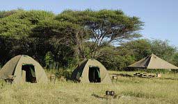 14 Day Best of Botswana Camping Safari