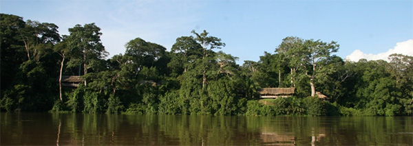 Dzanga-Sangha National Park