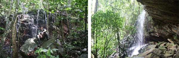 Waterfalls in the Dzanga-Sangha National Park