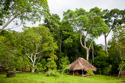 Sangha Lodge