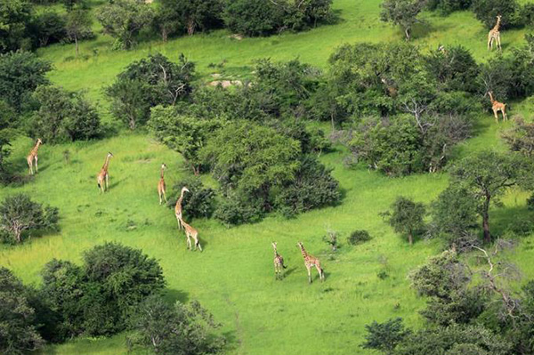 Zakouma National Park