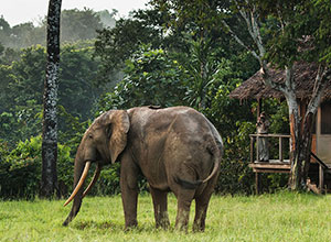 Mboko Lodge