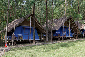 Eco Omo Resort - Jinka