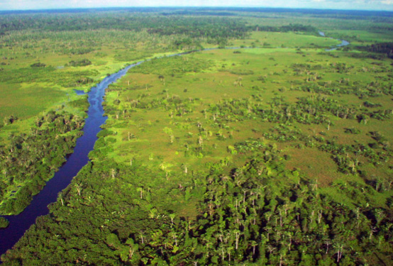 Akaka in Gabon