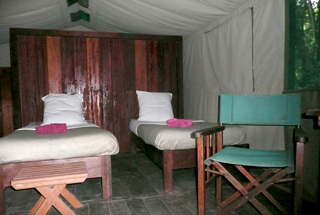 Akaka Camp - Gabon Safari Lodges & Accommodations - Africa Discovery Gabon
