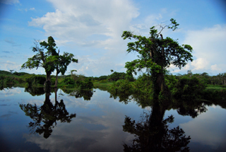 Akaka Camp - Gabon Safari Lodges & Accommodations - Africa Discovery Gabon