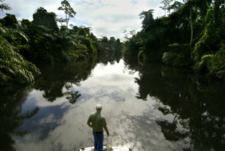 Akaka Camp - Gabon Safari Lodges & Accommodations - Africa Discovery Gabon