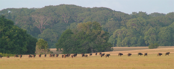 Loango National Park in Gabon
