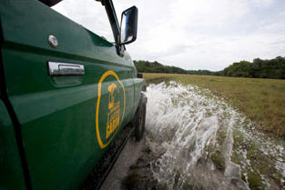 4x4 Jeep Safari - Loango National park’s beach