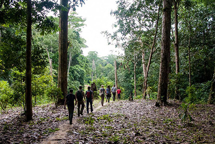 Dzanga Sangha National Park, March 24-31 2017 Group Trip