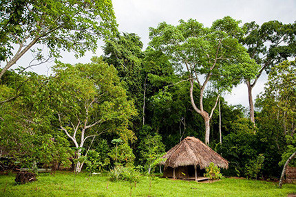 Sangha Lodge - Dzanga Sangha National Park, March 24-31 2017 Group Trip